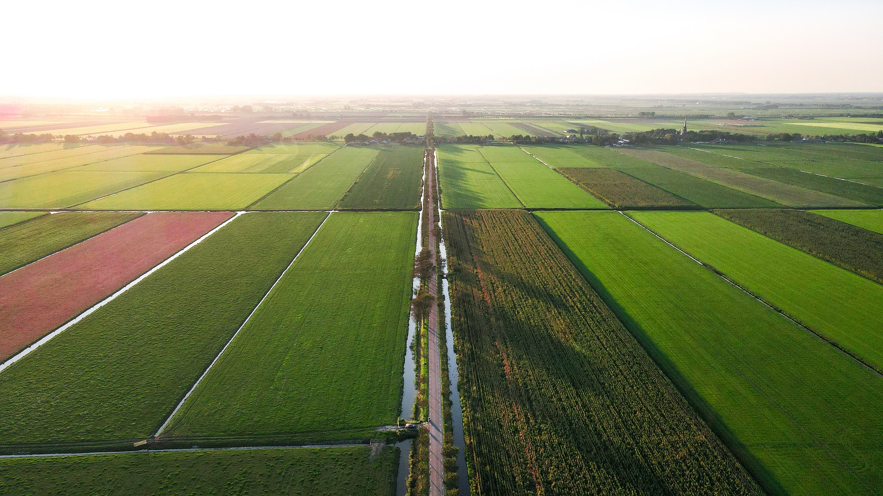 Hogere kosten beperken productie in land- en tuinbouw