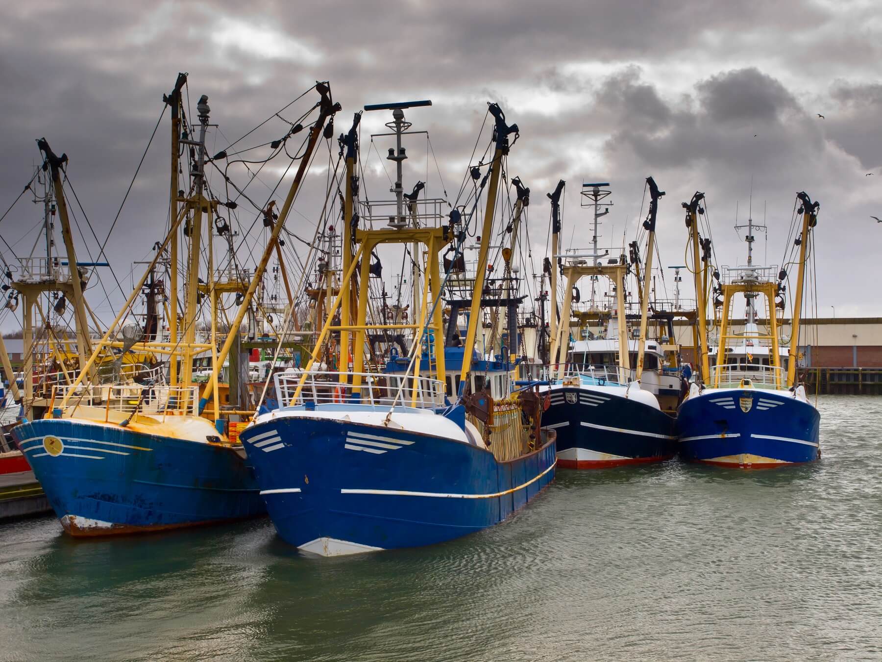 Nederlandse kottervisserij in zwaar weer