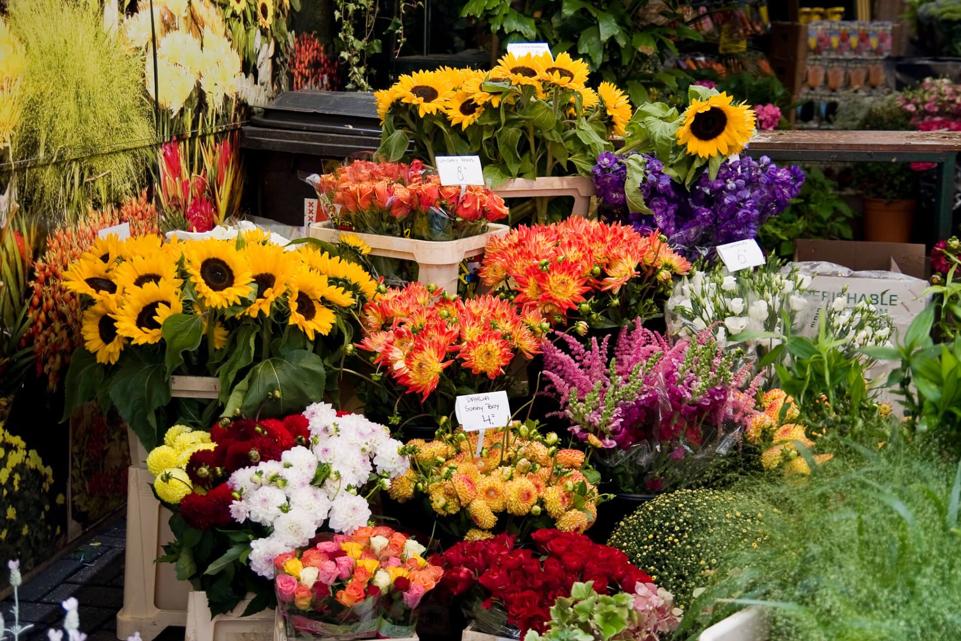 Consument besteedt minder aan bloemen en planten