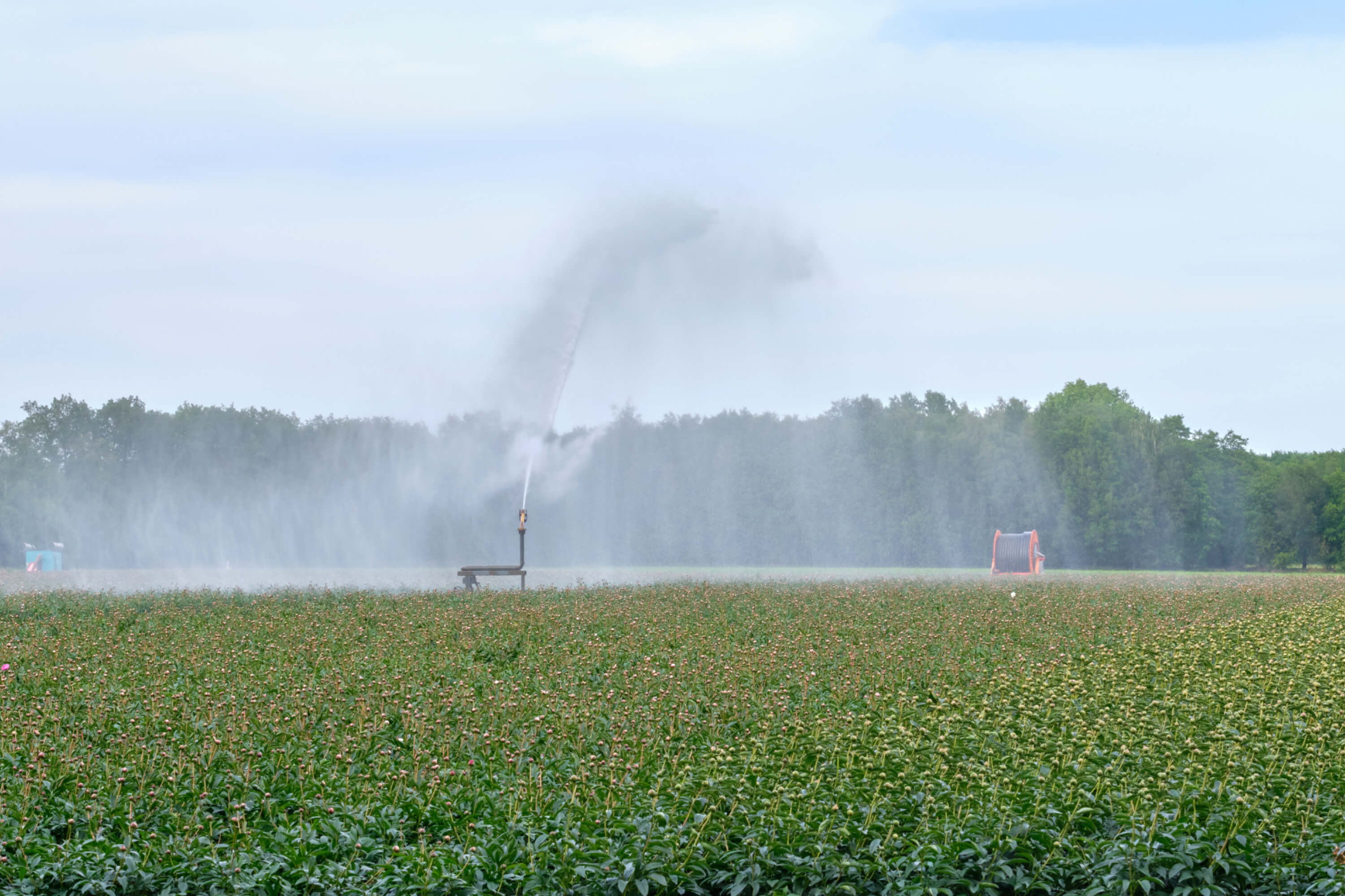 Akkerbouw: Aanpassen aan veranderend klimaat grote opgave